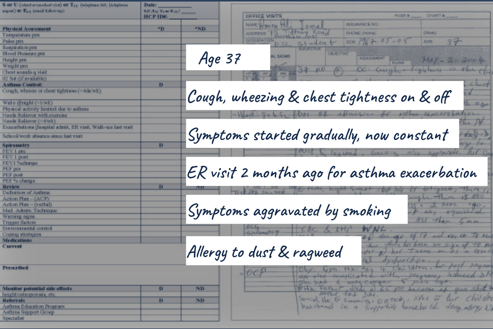 Pileated woodpecker with waveform of its call